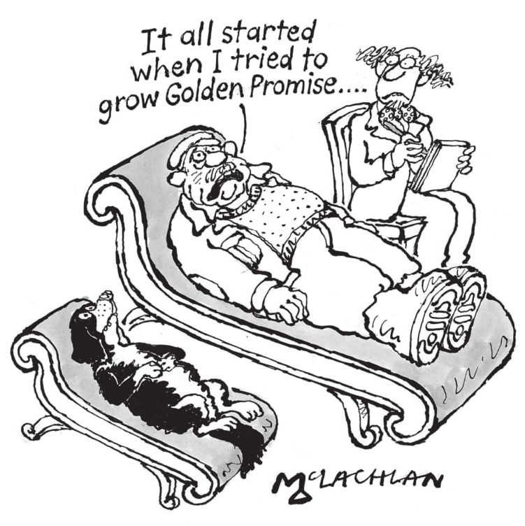 Timothy Taylor's cartoon advert depicting a farmer on a therapists sofa, stating 'It all started when I tried to grow Golden Promise' referencing the skill it takes to grow barley to our specifications