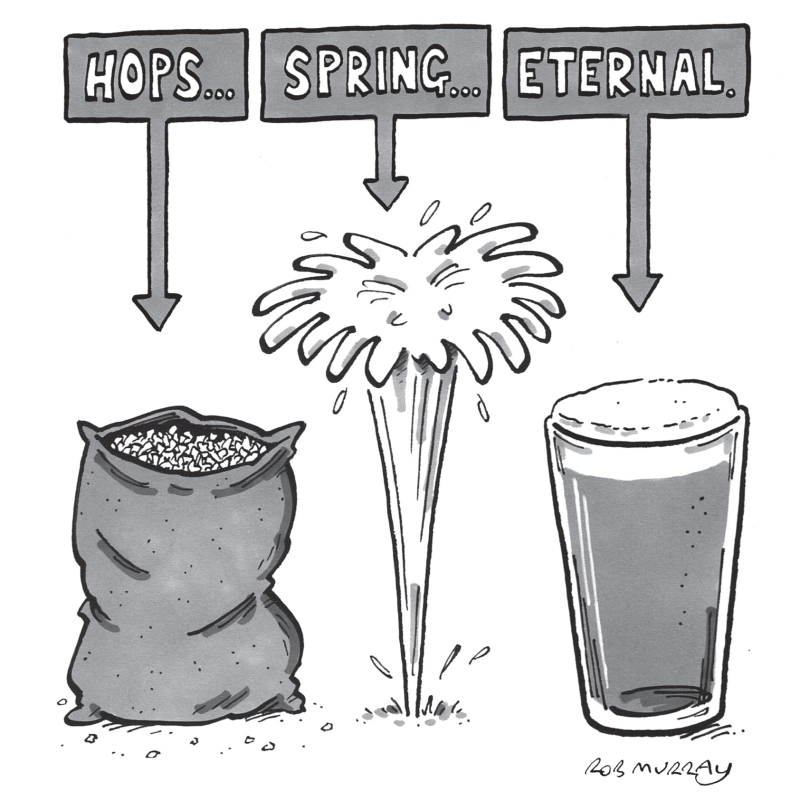 Timothy Taylor's cartoon advert depicting a bag of hops, a water spring, and a pint next to each other. The caption overhead reads 'Hops. Spring. Eternal.'